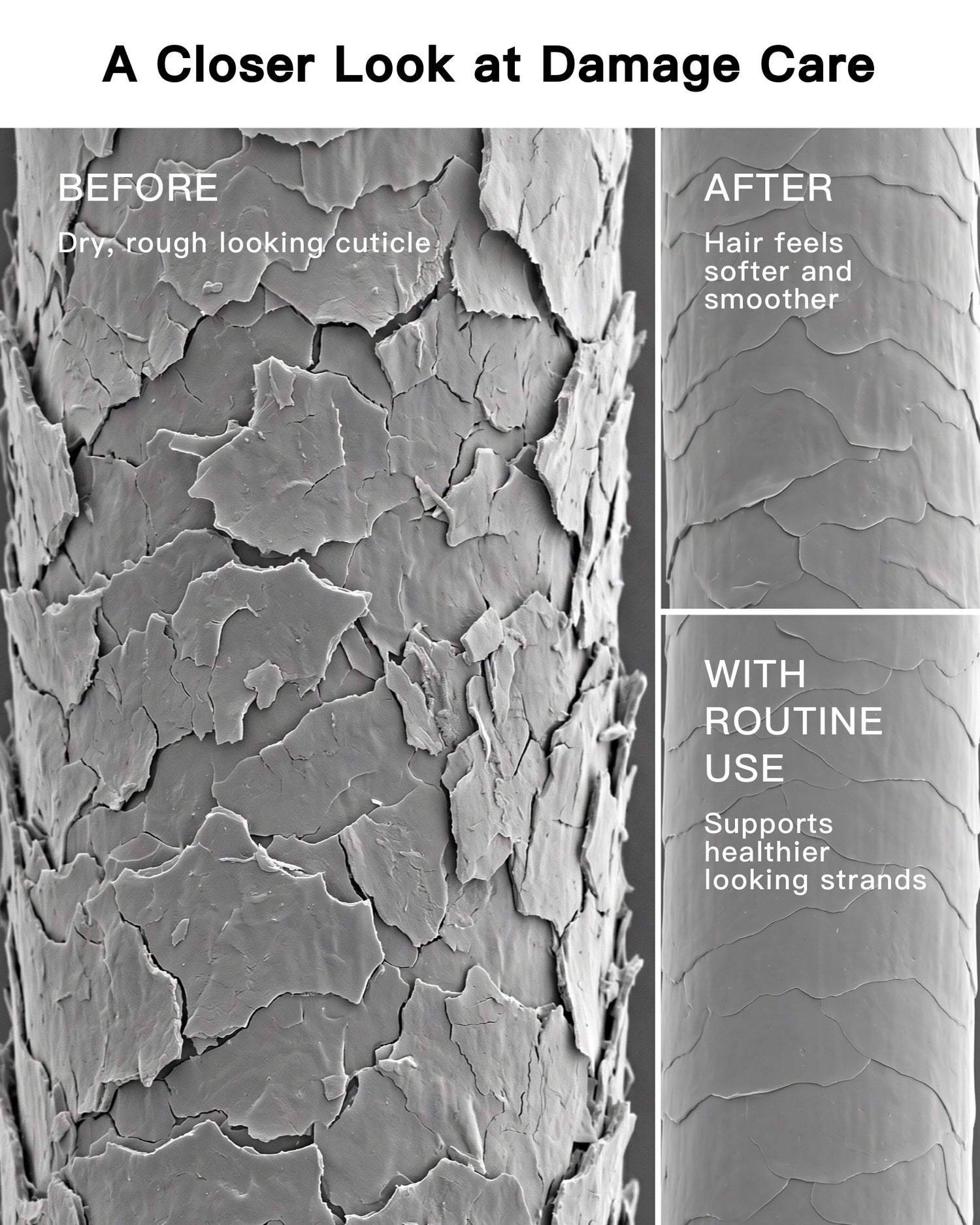 S.02 RESTORATIVE FOAMING SHAMPOO
