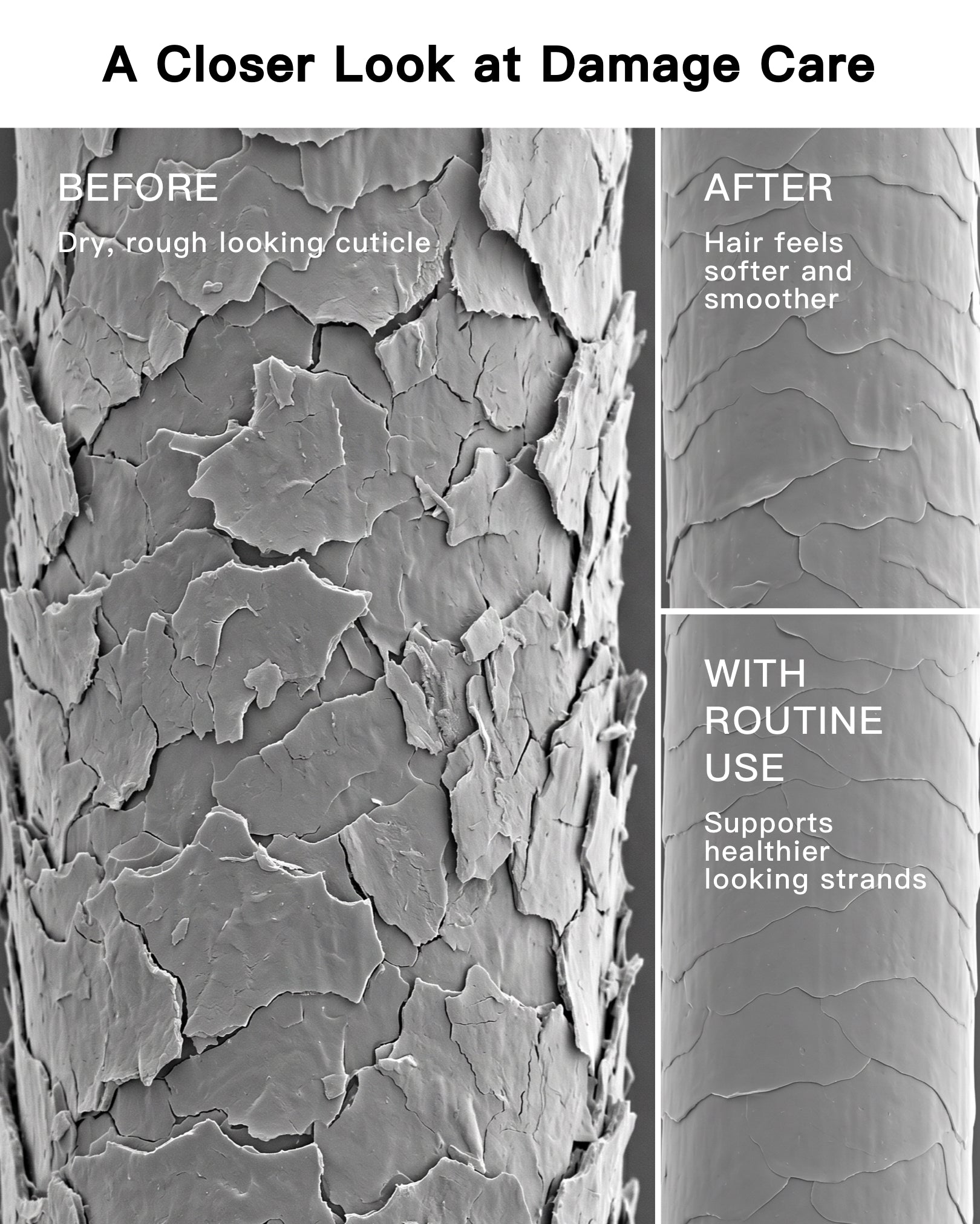 S.02 RESTORATIVE FOAMING SHAMPOO